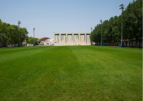 Elementary School Field