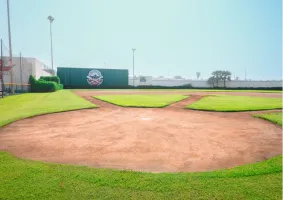 Farmer Field
